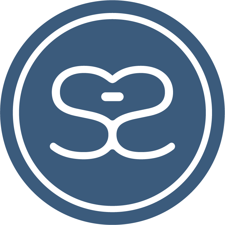 s system icon steelblue
